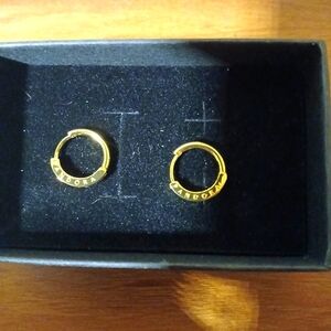 Pandora Signature ID Earrings